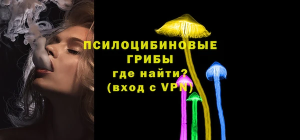 2c-b Богородск