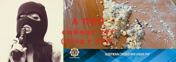 тгк Богданович
