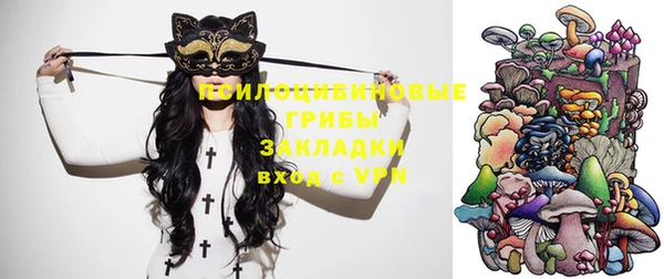 соль курить ск Богородицк